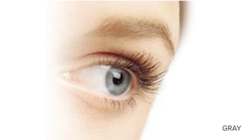 FreshLook ONE-DAY 10 pack